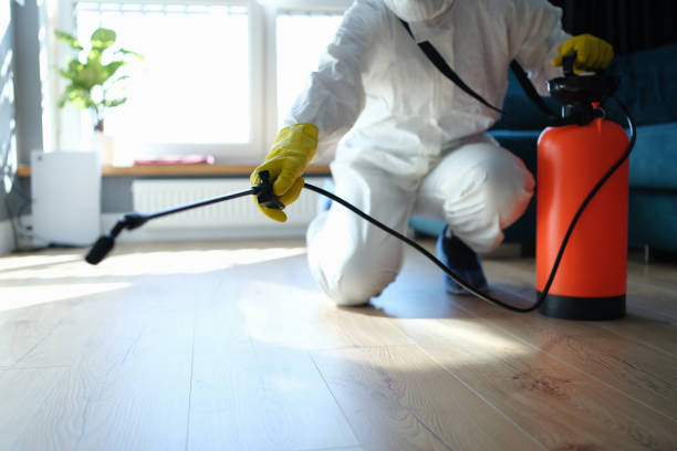 Reliable Biohazard Cleanup contractor in New Boston, TX by Dulley Family Biohazard Services